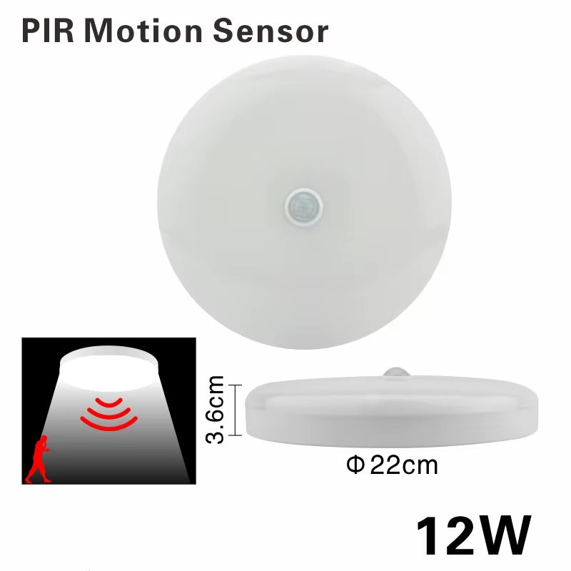 LED Ceiling Light 12W 24W PIR Motion Sensor Modern Lamp Surface Mounted Auto Smart Sounds Control AC 220V round Panel Light