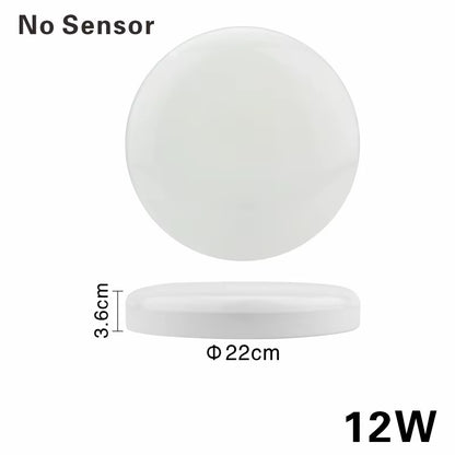 LED Ceiling Light 12W 24W PIR Motion Sensor Modern Lamp Surface Mounted Auto Smart Sounds Control AC 220V round Panel Light