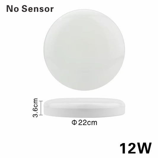 LED Ceiling Light 12W 24W PIR Motion Sensor Modern Lamp Surface Mounted Auto Smart Sounds Control AC 220V round Panel Light