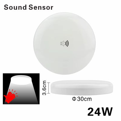 LED Ceiling Light 12W 24W PIR Motion Sensor Modern Lamp Surface Mounted Auto Smart Sounds Control AC 220V round Panel Light